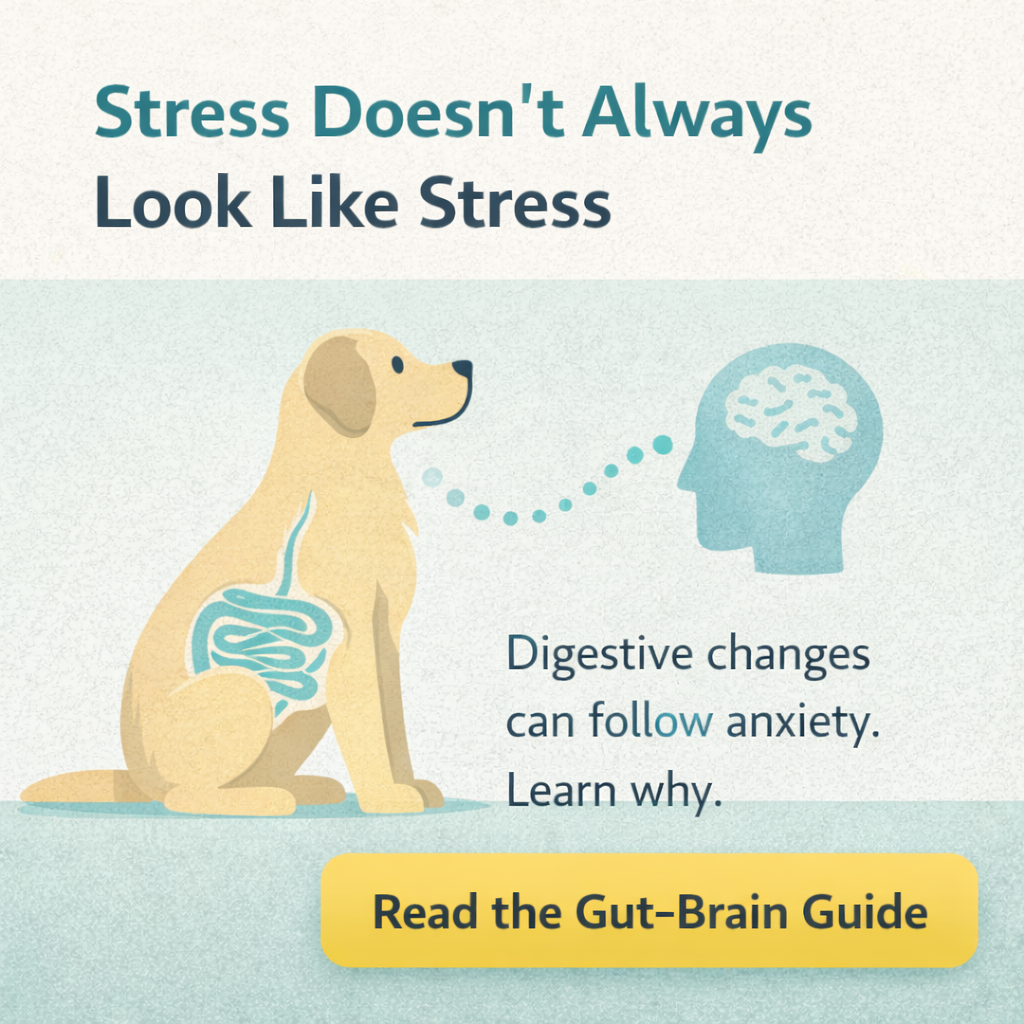 Pet owner researching dog care information online