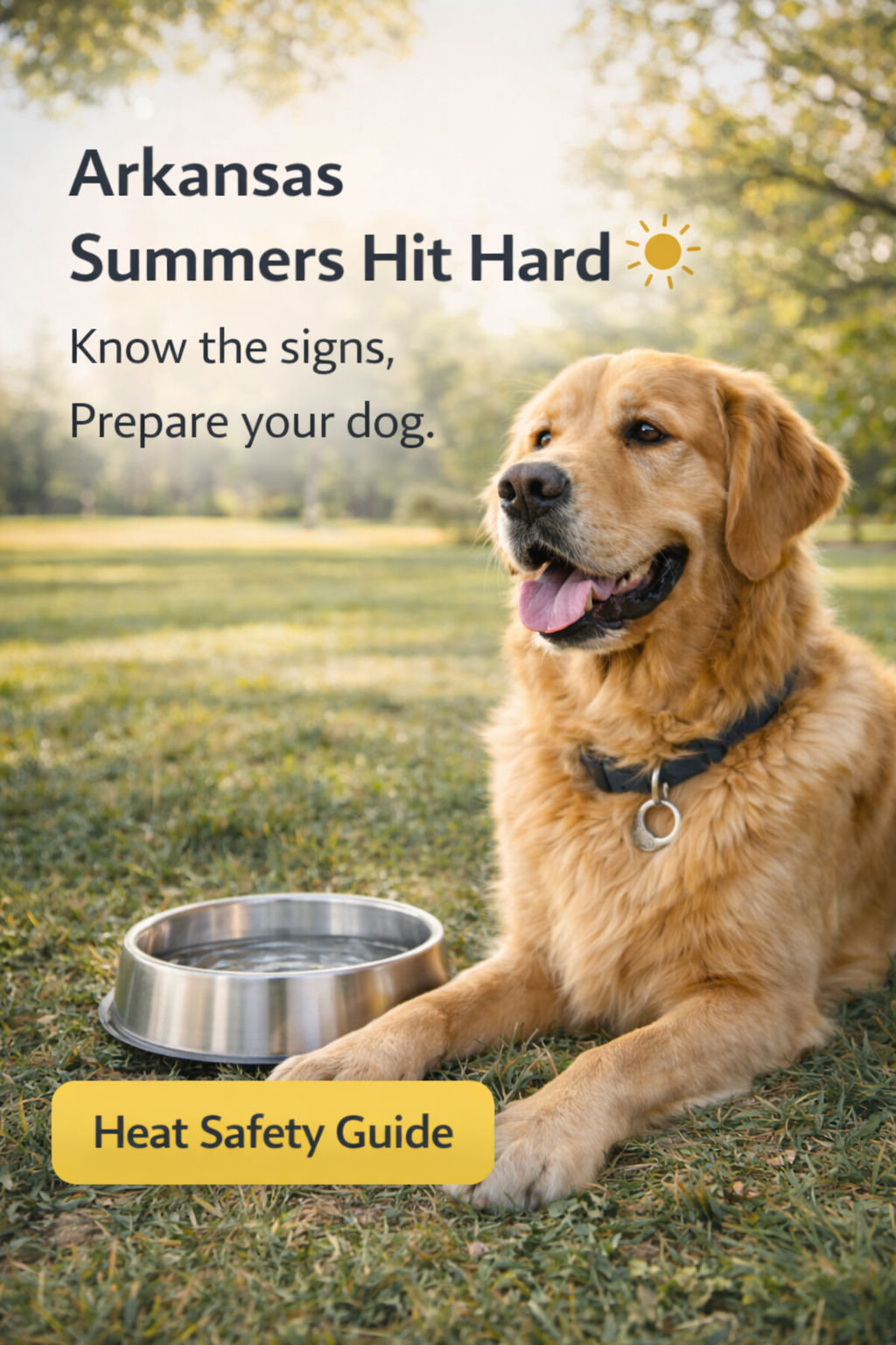 Golden retriever resting peacefully in calm bedroom with white noise