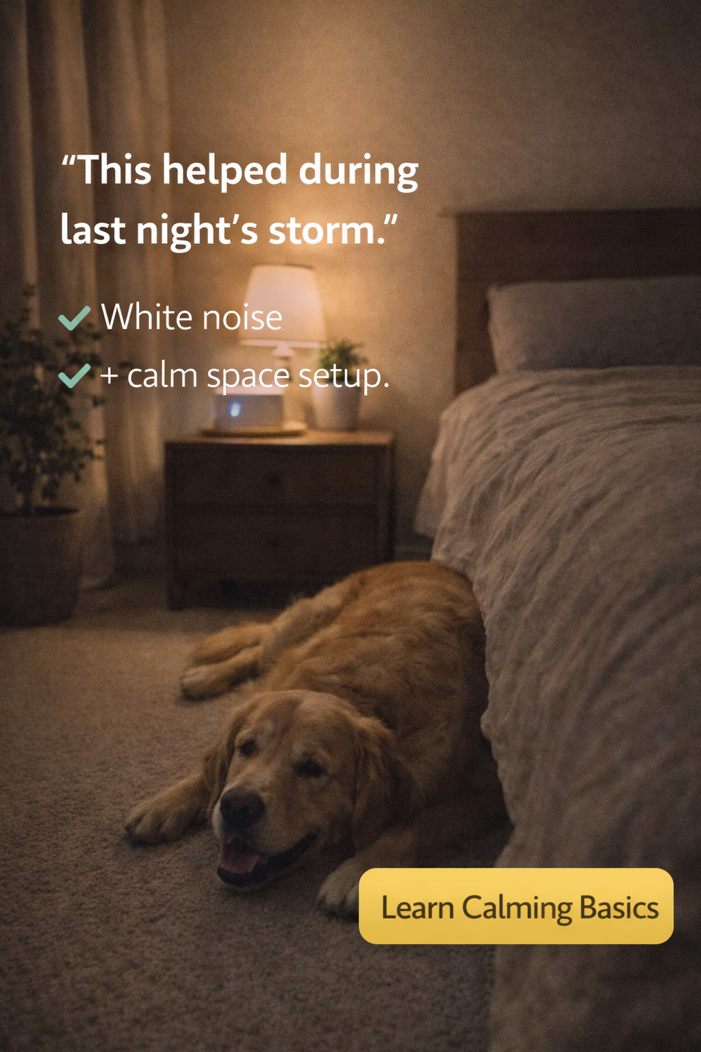 Golden retriever enjoying summer outdoors with water bowl